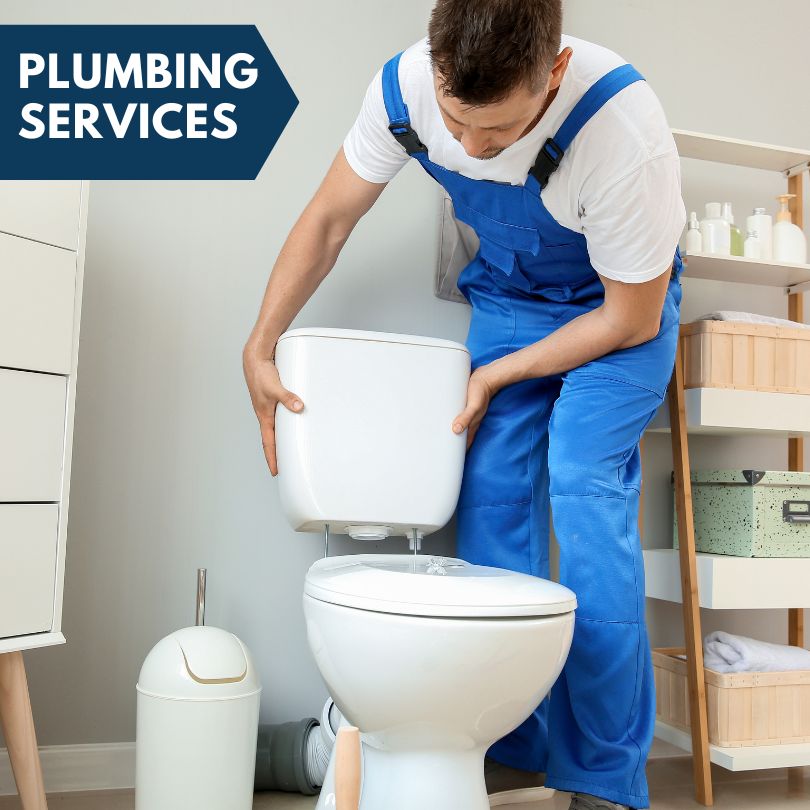 Plumbing Company in Cherry Log, GA